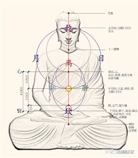 先天胎元後天息元|看完此文，終於明白為什麼「胎息」在修煉中如此重要？！